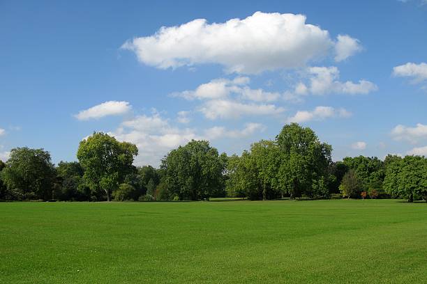 istock beautiful green field, blue sky and white clouds 147021658