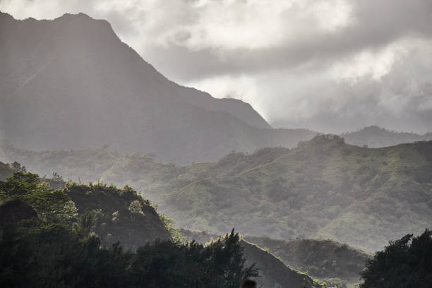 bewölkte berge von kauai nach regenfällen
hanalei, hawaii, vereinigte staaten - hanalei stock-fotos und bilder
