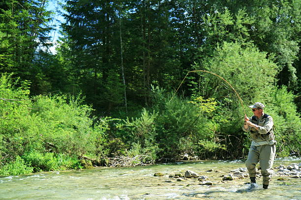 istock Flyfisher fishing in Austria 147021842