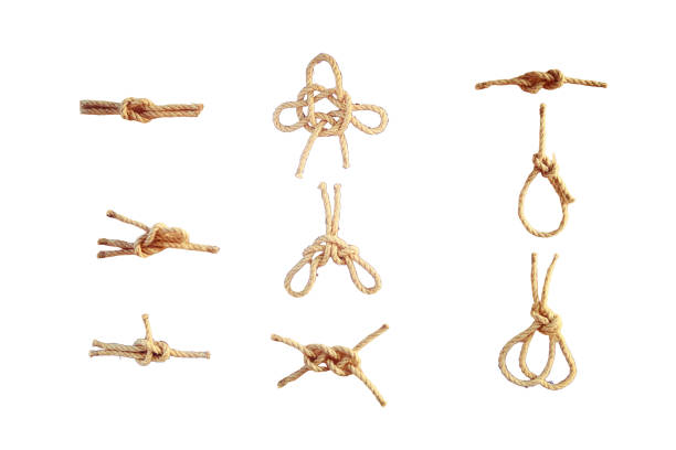 Knots that knit sailors in the ship's business, isolated on a white background. Options tying the rope in the Navy. Knots that knit sailors in the ship's business, isolated on a white background. Options tying the rope in the Navy. knurl stock pictures, royalty-free photos & images