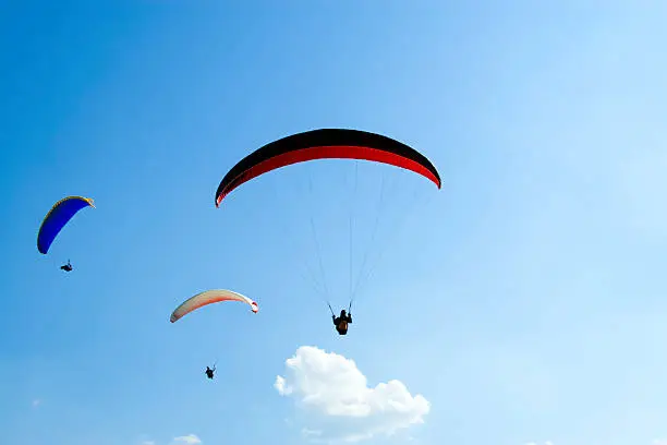 Photo of Paragliders