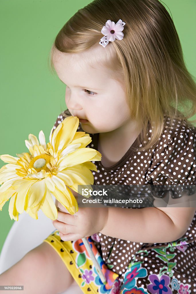little girl in brown dress sniffing flower Child Stock Photo