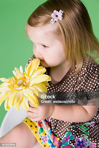 Little Girl In Brown Dress Sniffing Flower Stock Photo - Download Image Now - Child, Flower, Girls