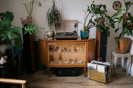 Shot of a living room with turntable on showcase and potted plants alongside. Vintage music player with plants in living room at home.
