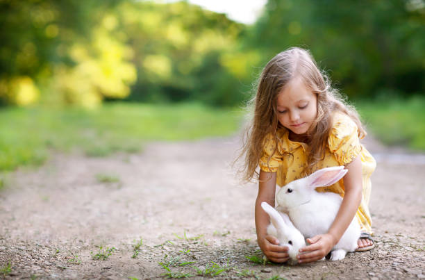 istock a little girl with two white rabbits 1470222955