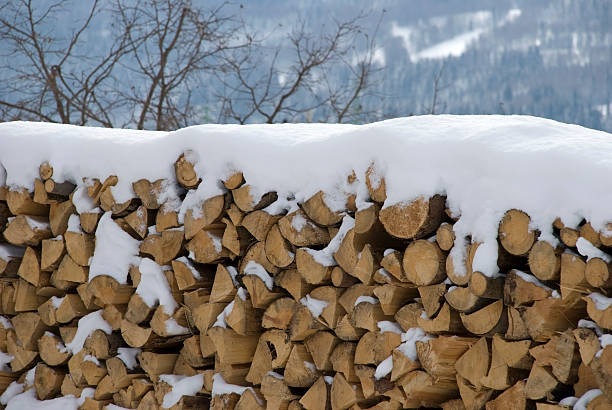 drewno opałowe w śniegu - timber lumber industry redwood stack zdjęcia i obrazy z banku zdjęć