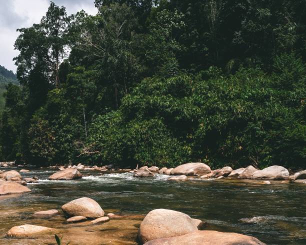 istock River at Sungai Kampar, Gopeng, Perak. 1470224111