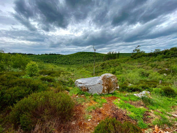Nice trails in Cavan Burren Nature park, Co. Cavan, Ireland