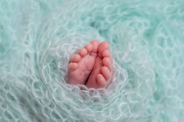 istock newborn baby's legs on a blue background 1470226287