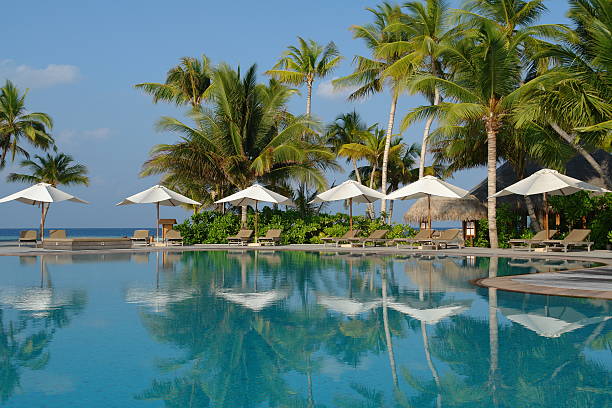 istock Resort in the Maldives 147023005