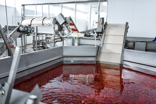Machines Used For Cherry Pepper Cleaning Of Seeds In Food Processing Plant