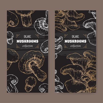 Two labels with Agaricus bisporus aka common mushroom and Pleurotus ostreatus aka oyster mushroom sketch on black. Edible mushrooms series. Great for cooking, traditional medicine, gardening.