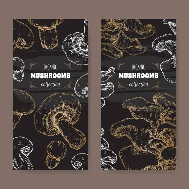 Vector illustration of Two labels with Agaricus bisporus aka common mushroom and Pleurotus ostreatus aka oyster mushroom sketch on black.