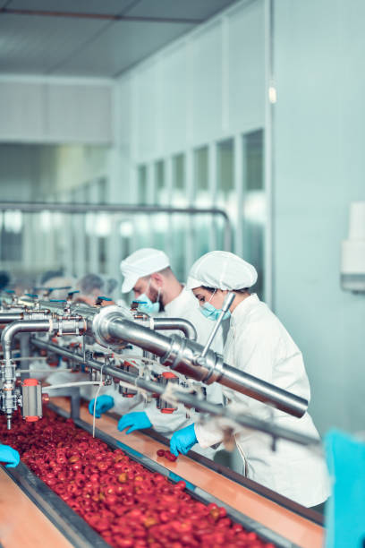 istock Hard Working Colleagues Operating Machinery In Pepper Processing Plant 1470231507