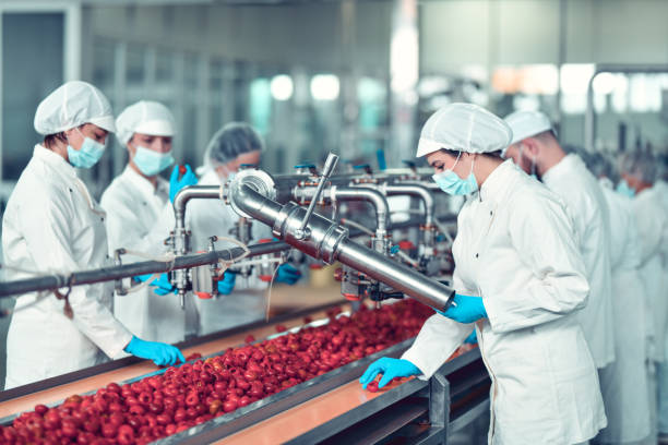 istock Colleagues A Competition At Stuffing Peppers With Cottage Cheese In Food Processing Plant 1470231535