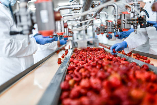 istock De-seeding Process Of Cherry Peppers In Food Processing Plant 1470231636