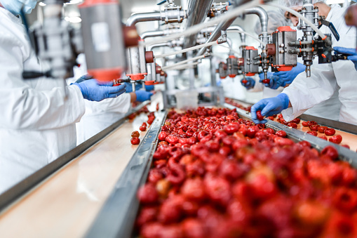 De-seeding Process Of Cherry Peppers In Food Processing Plant