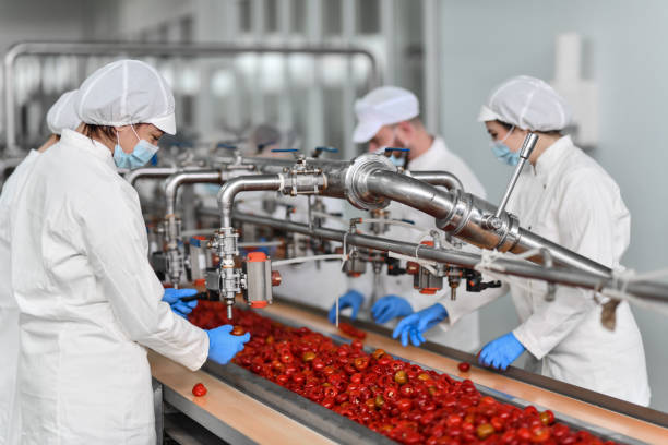 istock Processing Plant Production Line For Pimenti Filling With Cottage Cheese 1470231719