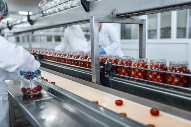 istock Cherry Peppers Stuffed With Cottage Cheese Put In Jars On Production Line 1470231744