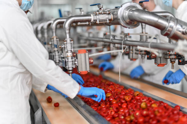 istock Workers Filling Cherry Peppers With Cottage Cheese On Production Line 1470231774