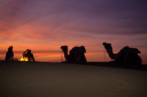 istock Camel silhouettes at campfire in desert sunrise 147023291