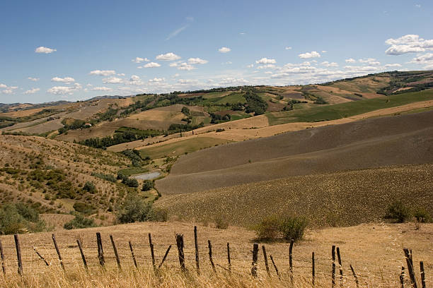 istock Field of gold 147023361