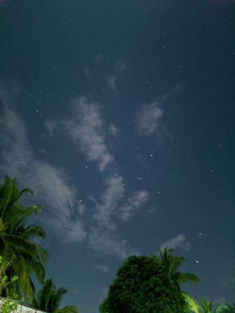 istock Very Clear Sky On The Top Of The Tree at Midnight 1470236063