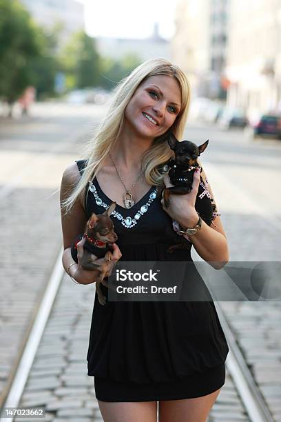 Camminare Con Cani - Fotografie stock e altre immagini di Abbigliamento per animali domestici - Abbigliamento per animali domestici, Adolescente, Adolescenza