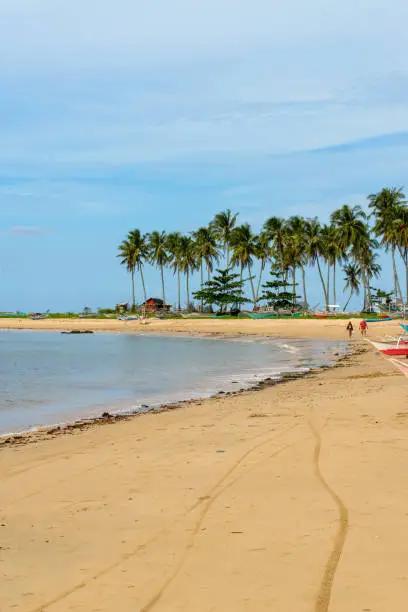 The photo captures a breathtaking view of a serene beach with crystal-clear waters and gentle waves lapping at the shore. The endless stretch of golden sand is dotted with sun umbrellas, beach chairs, and palm trees. The deep blue sea stretches out to the horizon, inviting the viewer to take a dip and soak in the beauty of nature.