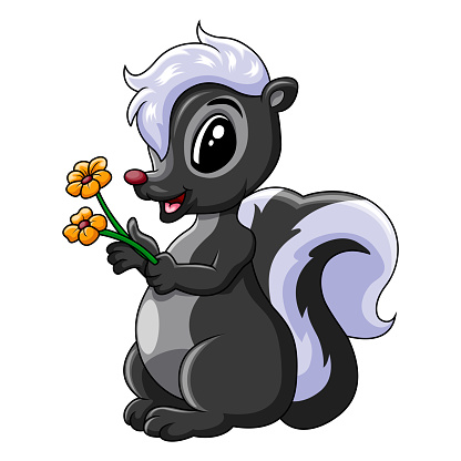 Vector illustration of Cute skunk holding a flower