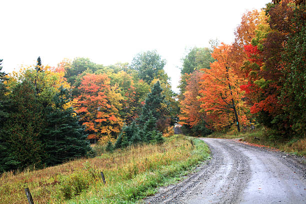 istock Vermont Country Road 147024155