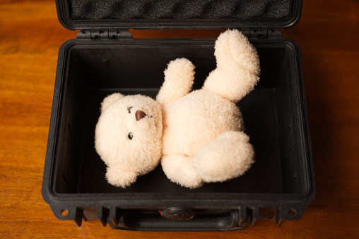 Stuffed animal in a case.