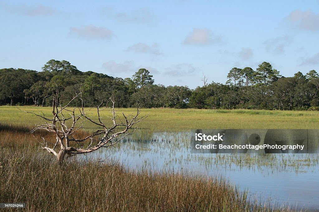 Insel Marsh - Lizenzfrei Barriereinsel Stock-Foto