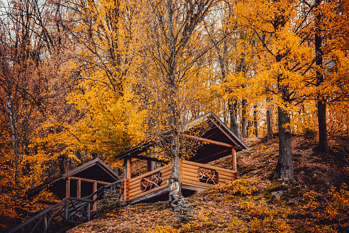 Arbor on the hill in the autumn forest