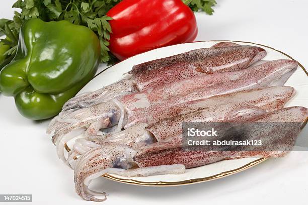 Squid Fish - zdjęcia stockowe i więcej obrazów Bez ludzi - Bez ludzi, Fotografika, Horyzontalny