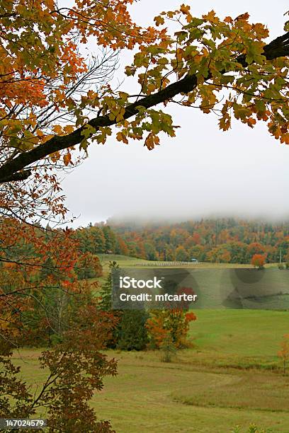 Autumn Valley Stock Photo - Download Image Now - Autumn, Beauty In Nature, Color Image