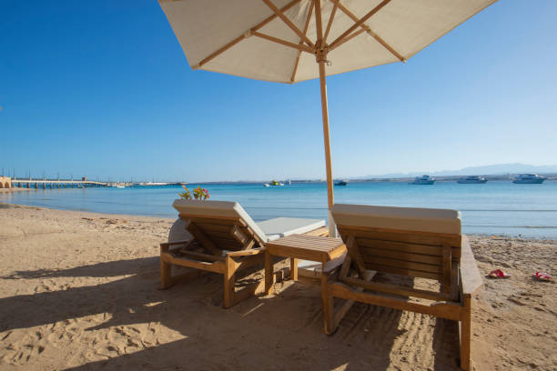 Tropical resort beach view with sun loungers