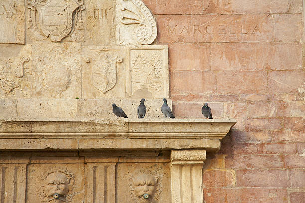 istock Pigeon and Fountain 147024712