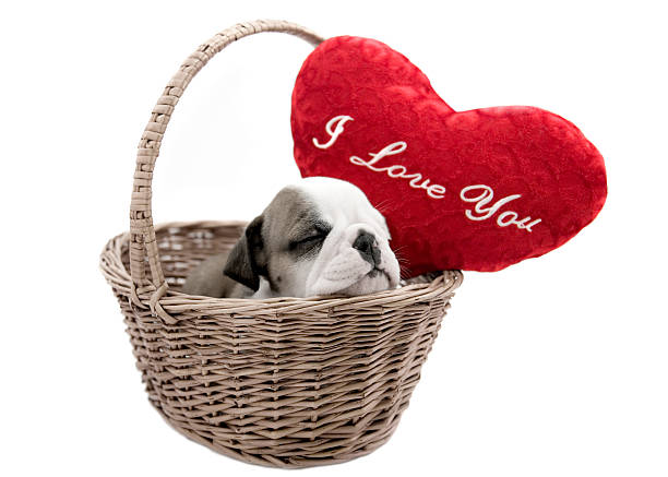 istock I love you basket 147024722