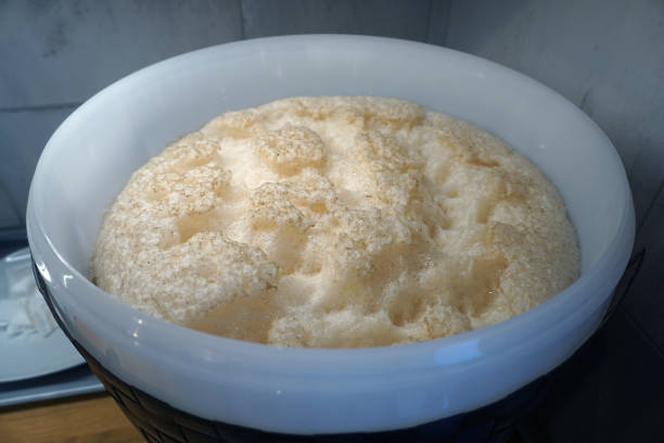 istock Beer yeast in plastic fermenter - home brewing concept 1470247921