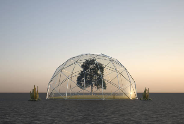 Winter garden with trees stone trough greenhouse frost and fog,