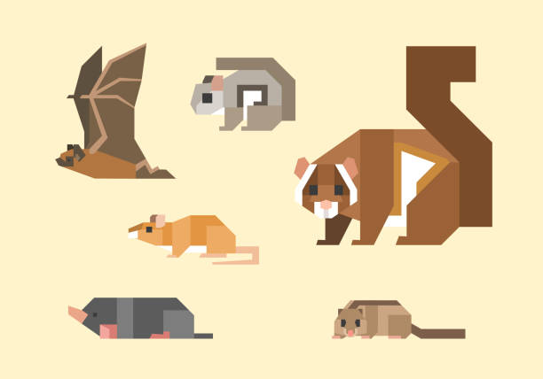 Japanese animals. Vector illustration of Japanese animals including mouse, mole, bat, giant flying squirrel, flying squirrel, dormouse. mole animal stock illustrations