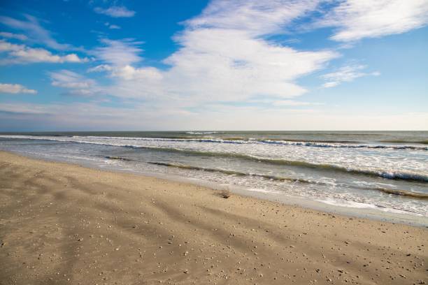 istock Landscape of an empty wild beach 1470251081