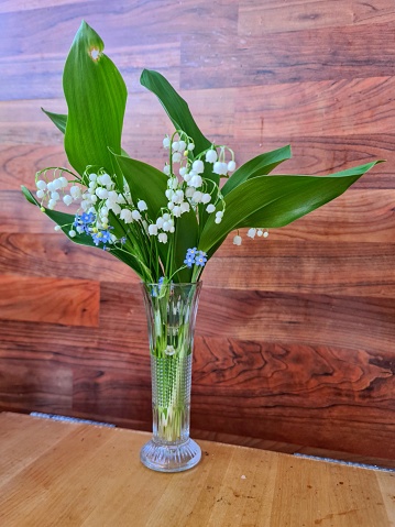 Blue Myosotis sylvatica forget-me-not and white Lily of the valley, first spring flowers in the glass vase with wooden background