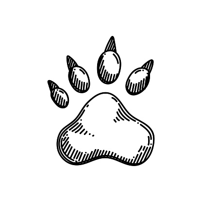Wild Animal Footprint Line icon, Sketch Design, Pixel perfect, Editable stroke.