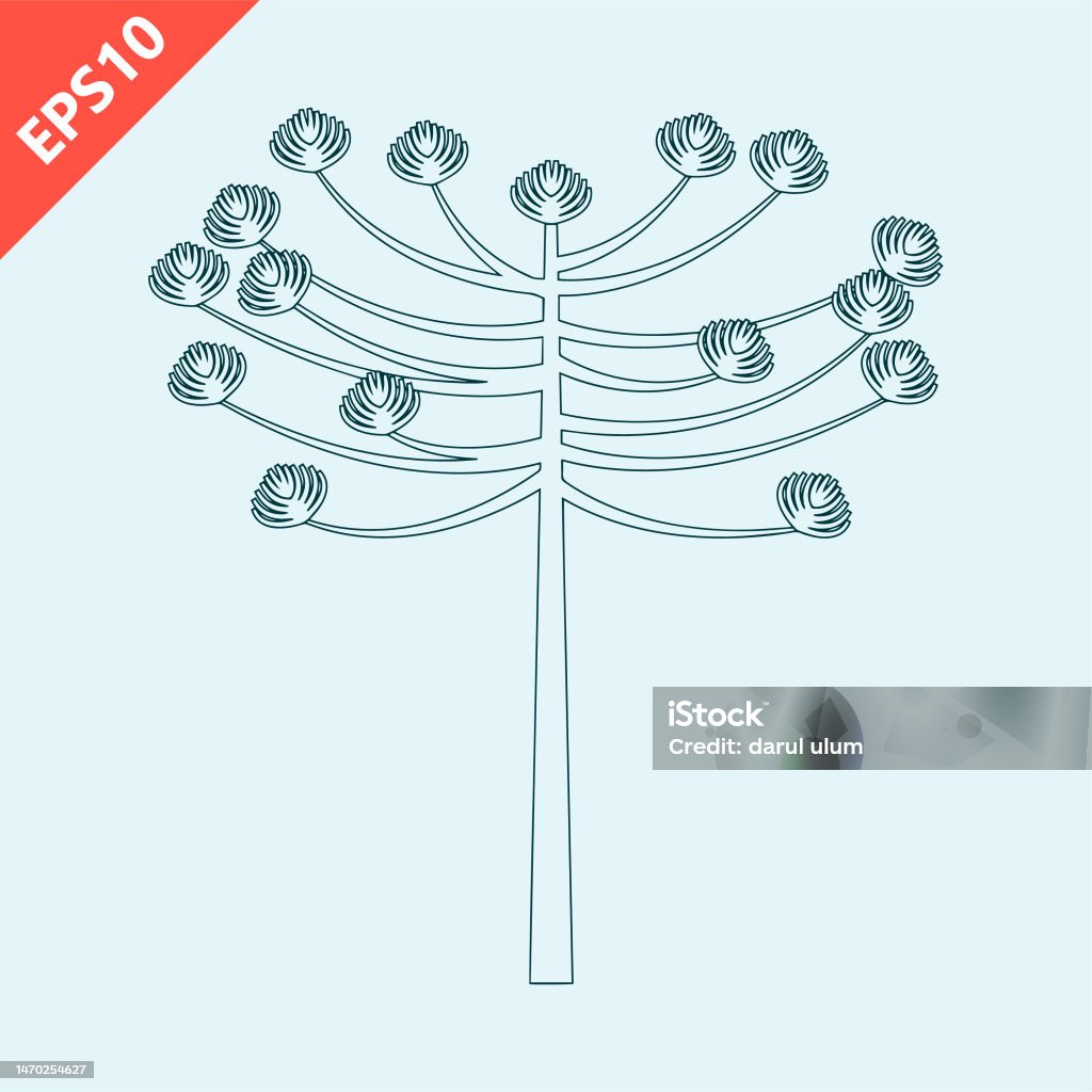 Ara Tree Vector Hand Drawn Araucaria Tree Design Vector Flat Isolated Illustration ...