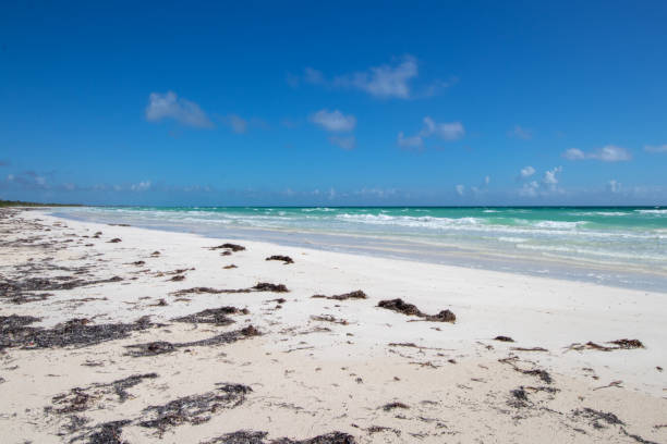istock white sand and turquoise water at a tropical beach 1470255580