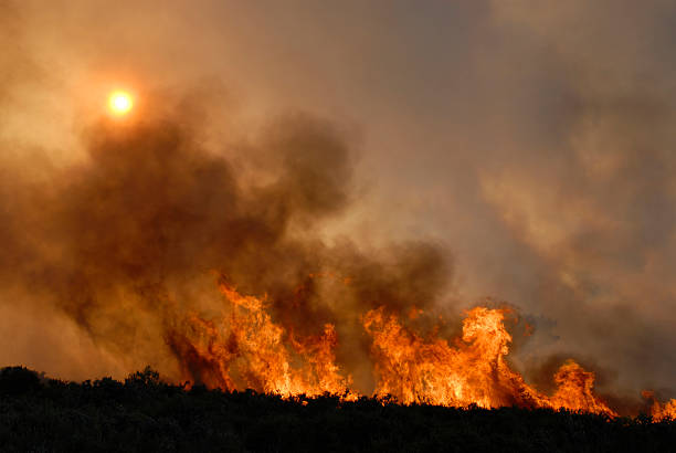 fire - wildfire smoke stock-fotos und bilder