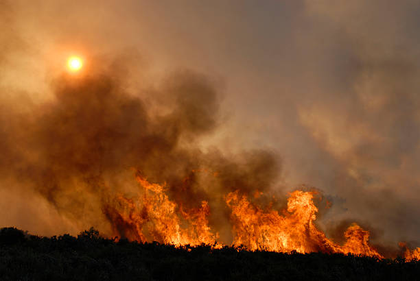 fire - wildfire smoke stok fotoğraflar ve resimler