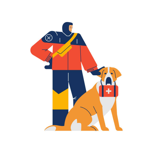 illustrazioni stock, clip art, cartoni animati e icone di tendenza di uomo soccorritore in piedi in tuta speciale con cane da assistenza che tiene kit di pronto soccorso - dog first aid first aid kit assistance
